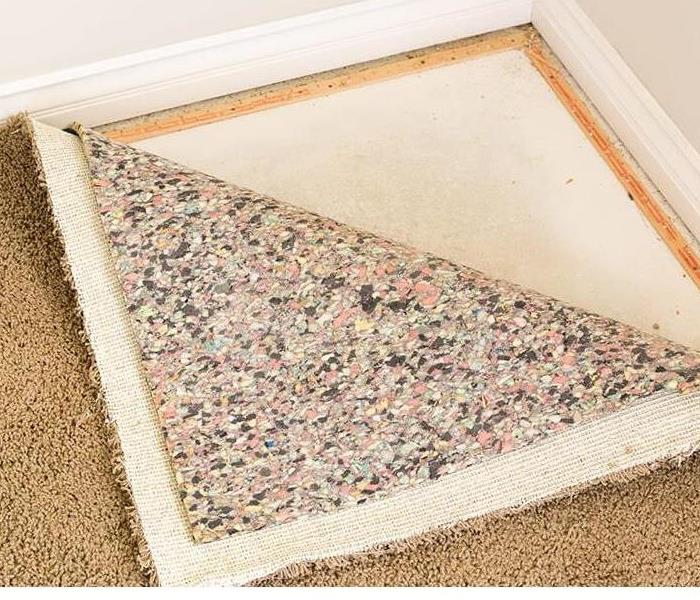 wetcarpet