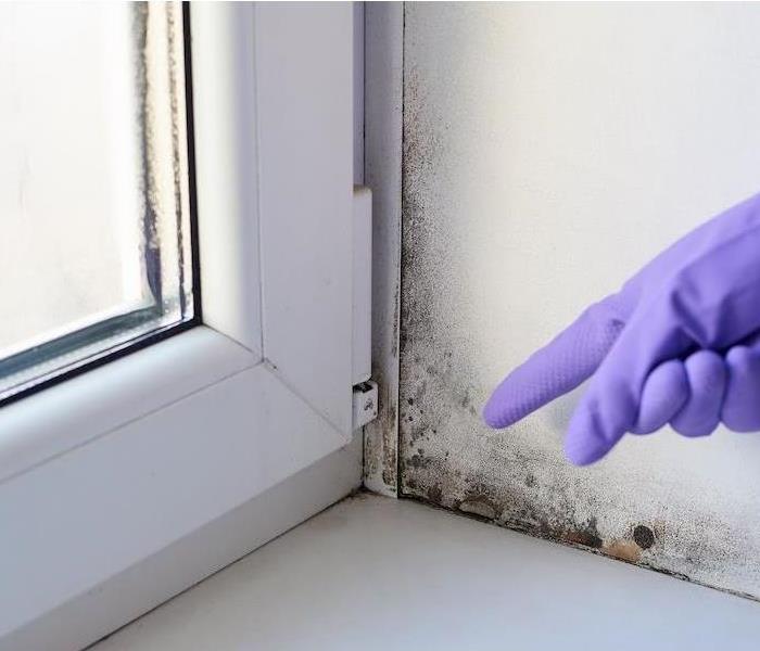 Mold in a Corner Area