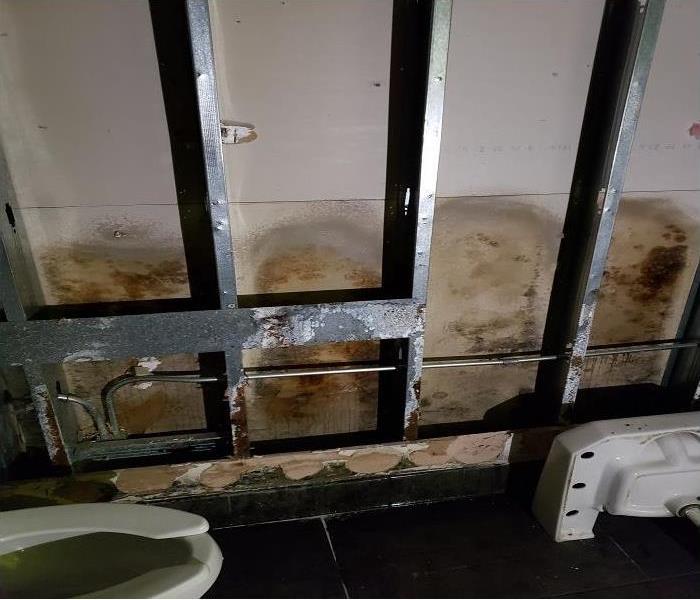 Water Damage Inside The Drywall Can Cause Mold. Call Us Right Away At The First Sign of Damage!
