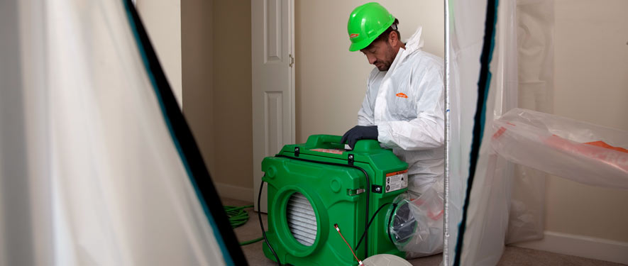 Monterey Park, CA mold cleanup